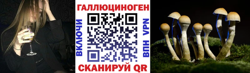 Псилоцибиновые грибы Magic Shrooms Мостовской